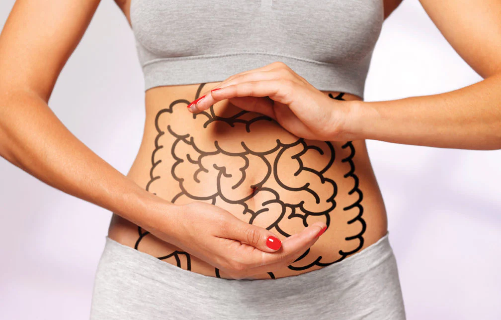 Profundiza en la Salud Intestinal con los Probióticos: Entrevista con la Farmacéutica Anna Barberà