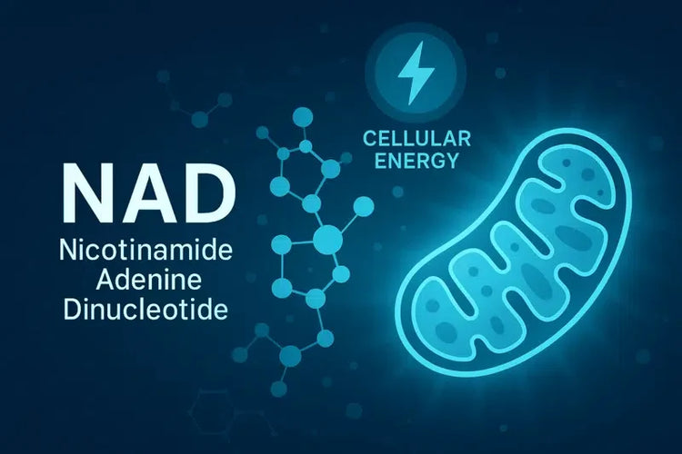 ¿Por qué todo el mundo habla del NAD+?