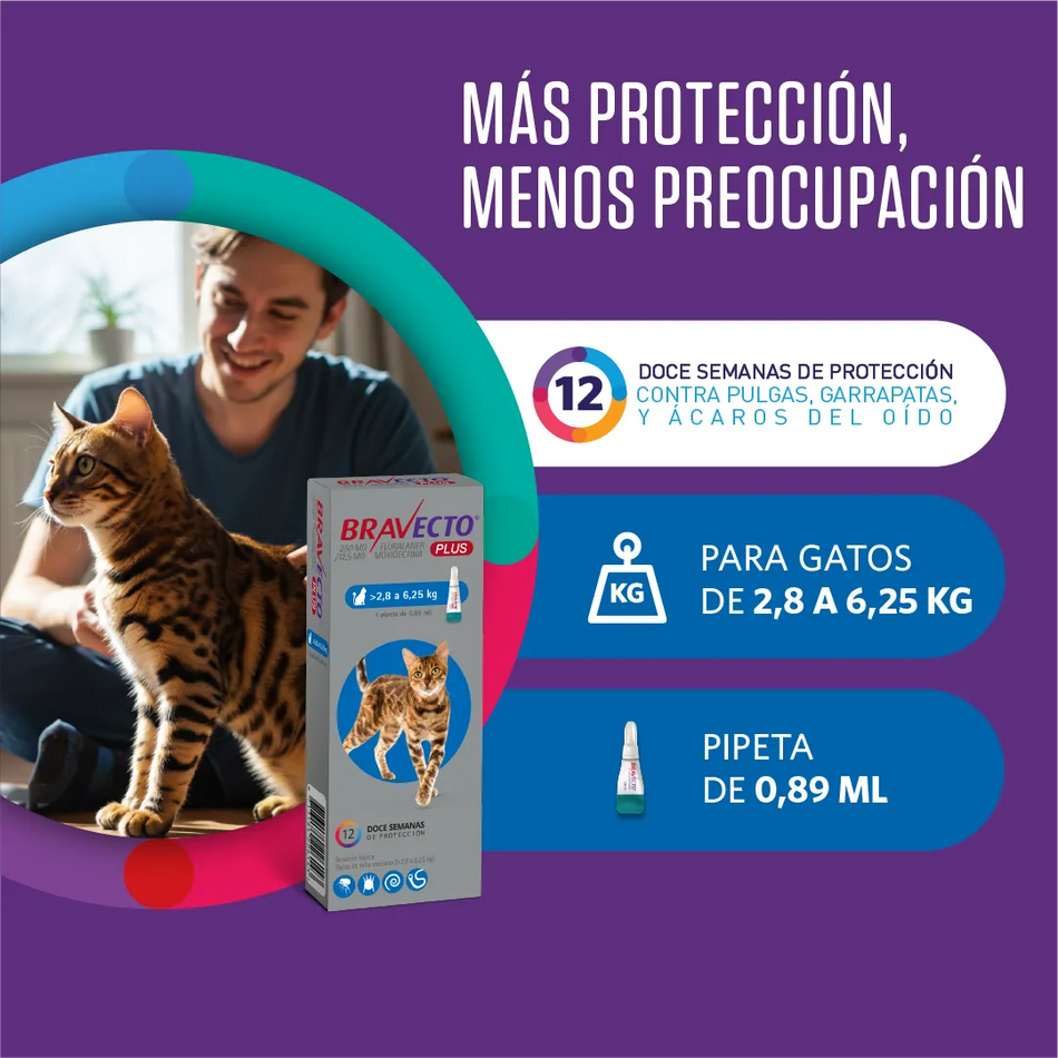 BRAVECTO PLUS GATOS 250 MG 2,8-6,25 KG 1 PIPETA VET