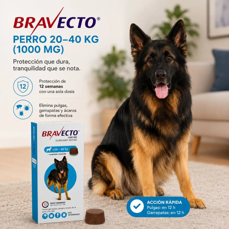 BRAVECTO PERROS L 1000 MG 20-40 KG 1 COMP MAST VET