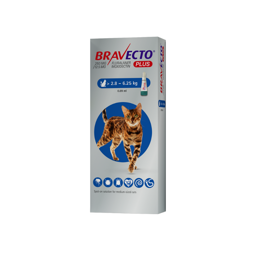 BRAVECTO PLUS GATOS 250 MG 2,8-6,25 KG 1 PIPETA VET